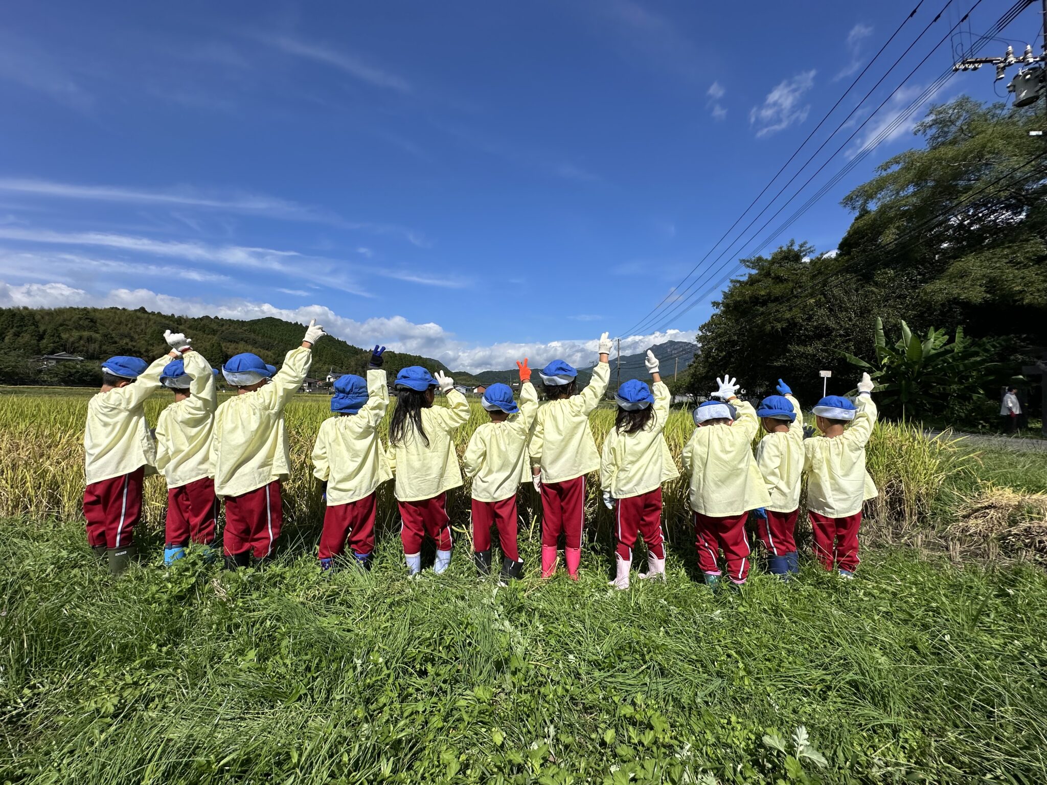 楽しみにしていた稲刈り！