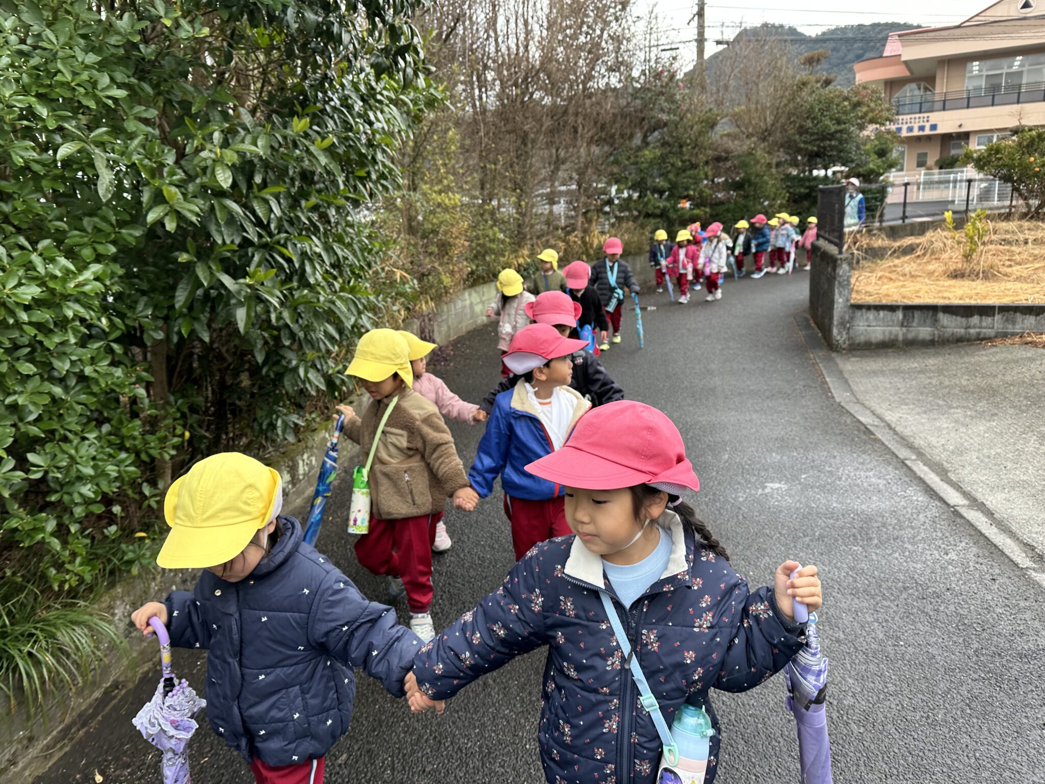 じゃが芋の種芋植えに行ってきました‼︎