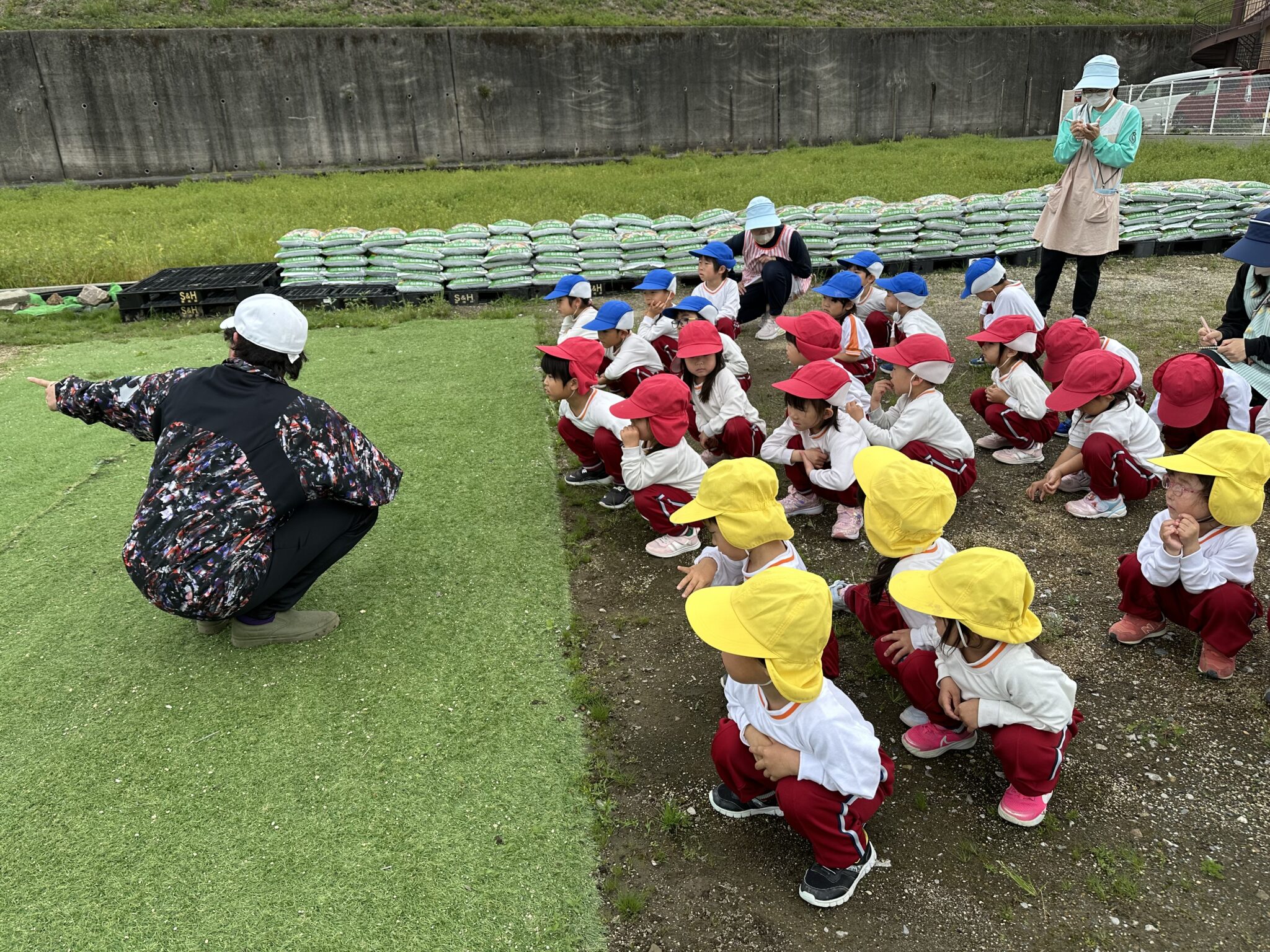 玉ねぎの収穫に行ってきました♪